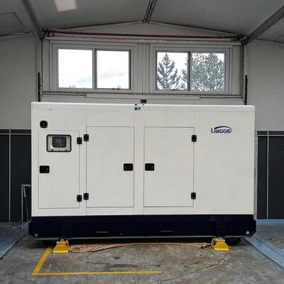 kaufen 30KW 40KW 50KW 60KW 100KW 200KW 300KW 400KW Elektromaschinen Stromgeneratoren zu verkaufen online manufacture