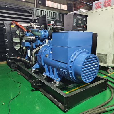 300 kW Biogasgenerator 50Hz 400V 375kva Biogasstromgenerator für Strom